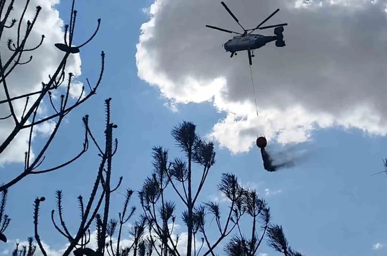 Kırklareli’deki orman yangını söndürüldü: 35 dekar alan zarar gördü