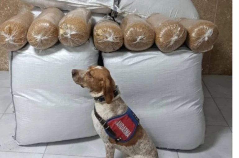 Kırşehir’de yolcu otobüsünde 400 kilogram kaçak tütün ele geçirildi