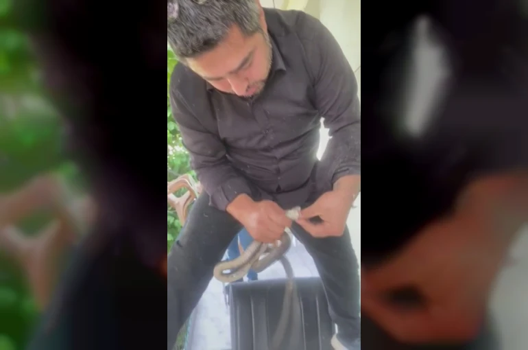 Klima ünitesinin boru hattında yakaladığı yılanı "Sevgili yılan insanlardan uzak dur, yoksa ne yaparlar biliyorsun" diyerek doğaya saldı