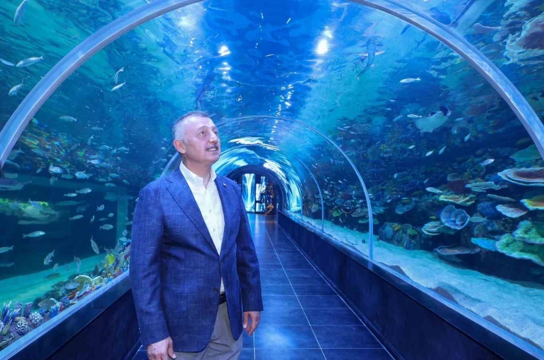 Kocaeli’de dev akvaryum kapılarını açıyor
