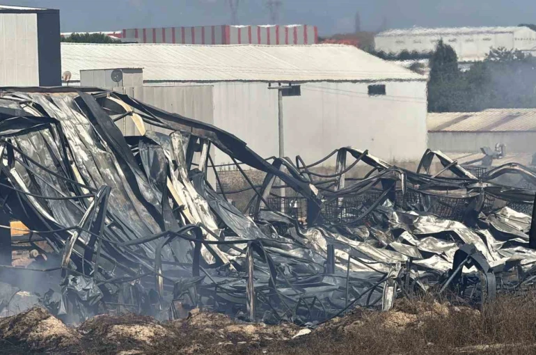 Kocaeli’de kimya fabrikasında yangın: 2 işçi yaralandı, 2 at telef oldu