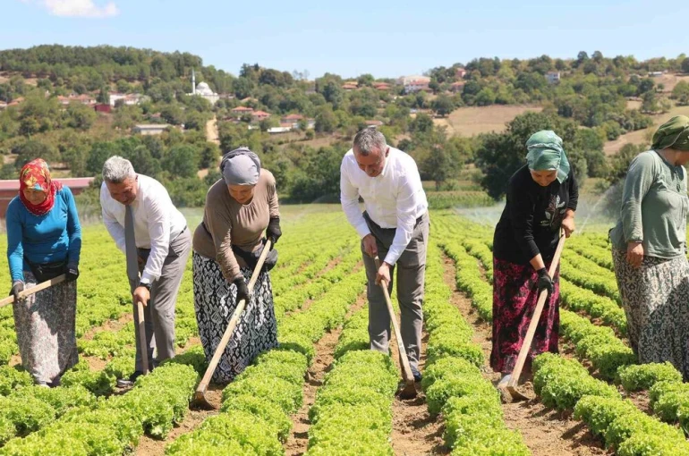 Kocaeli’de tarıma 1 milyar TL’lik destek