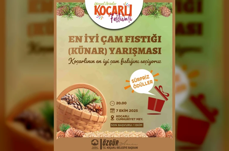 Koçarlı’da çam fıstığının en iyisi seçilecek