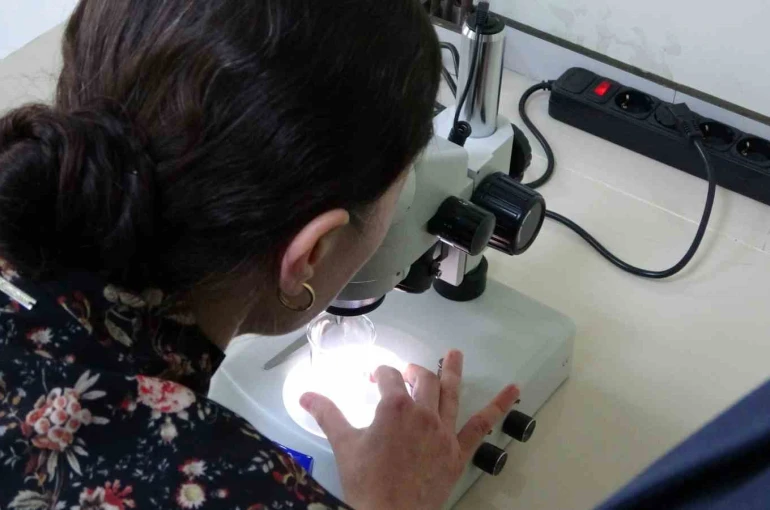 Kolorektal kanser tedavisi için yeni umut
