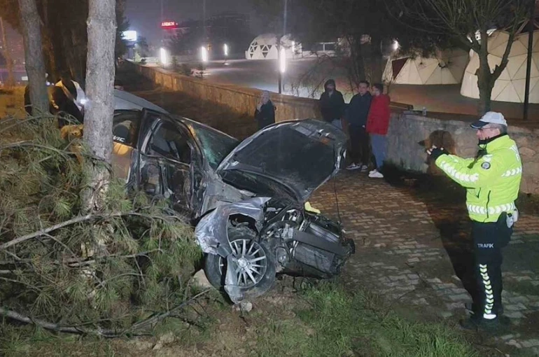 Kontrolden çıkan otomobil, direk ve ağaçlara çarptı: 1 yaralı