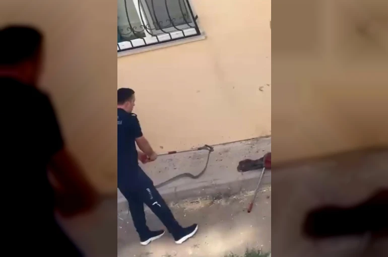 Konut bahçesinde 1,5 metre uzunluğunda yılan görüldü