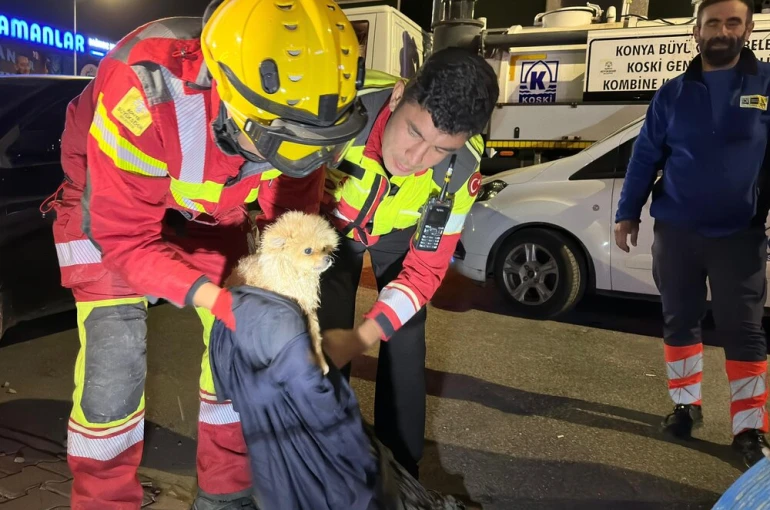 Konya Büyükşehir ekiplerinden köpek kurtarma operasyonu