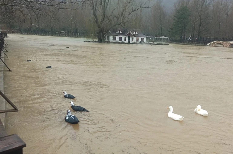 Konya'da yağış sonrası sel dereleri taşırdı