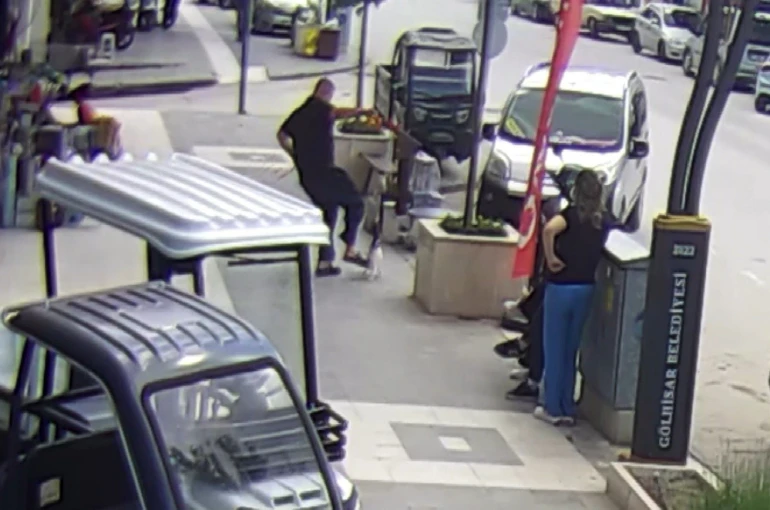 Köpeğine saldıran kediye tekme attı, o anlar kameraya yansıdı