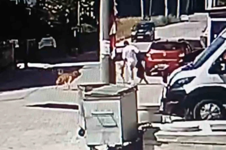 Köpeğini gezdirirken başka bir köpeğin saldırısına uğradı 