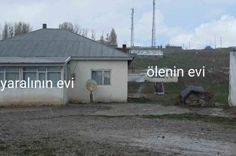 Köpek dehşetinin görüntüleri ortaya çıktı