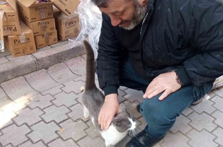 Köpeklerden kaçan kedinin imdadına itfaiye yetişti
