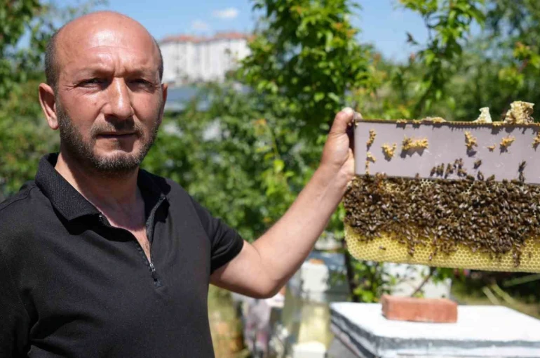 Korkmadan temas edebildiği arılarla 5 senedir birlikte yaşıyor