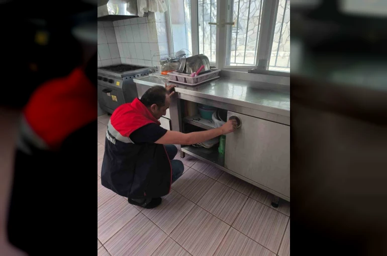 Köşk İlçe Tarım denetimlerini sürdürüyor 