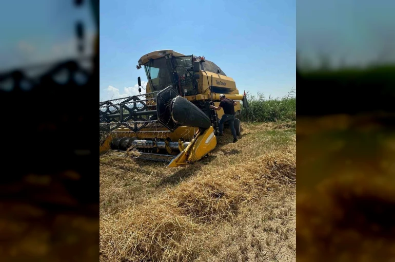 Köşk’te hububat hasadında dane kaybına karşı sıkı denetim