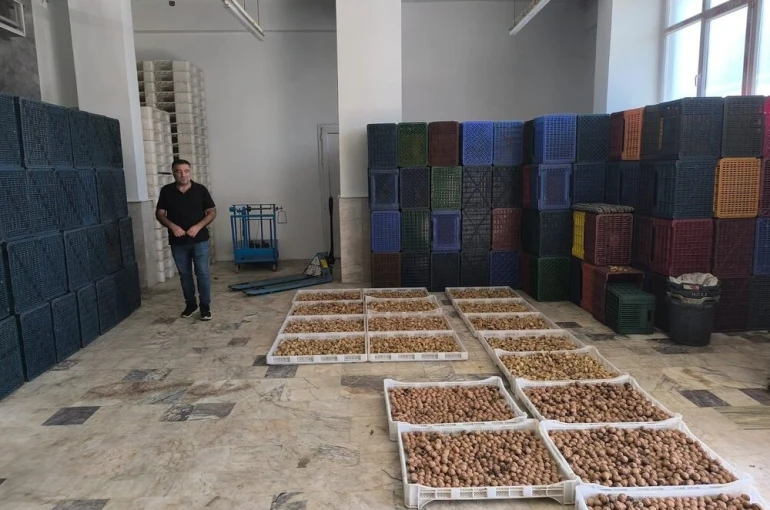 Köşk’te kuru incir depolarına sıkı denetim