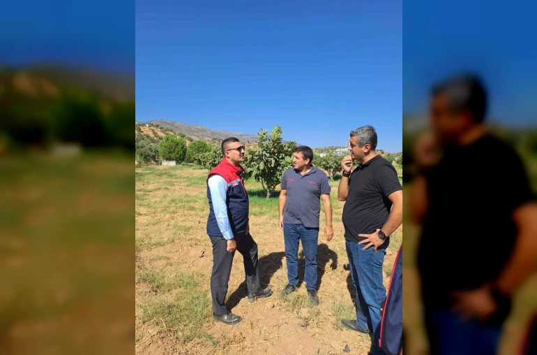 Köşk’te tarımsal zararlılarla mücadele için sahaya indiler