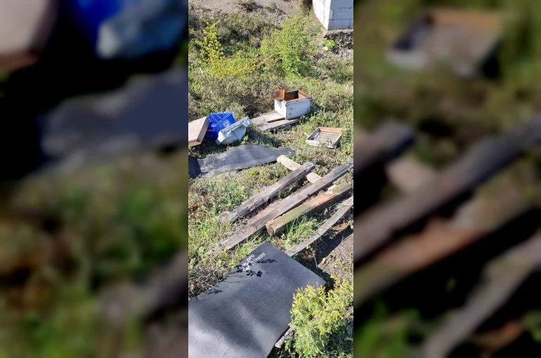 Kovanlarına ayının saldırdığını gören arıcı, "Çilingir sofrası olmuş"
