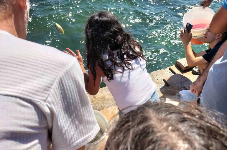 Köyceğiz Gölü’ne yavru balık bırakıldı