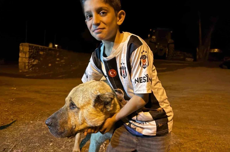 Köyde iki ayının saldırısına uğrayan Sencar’ın imdadına çoban köpeği Kral yetişti