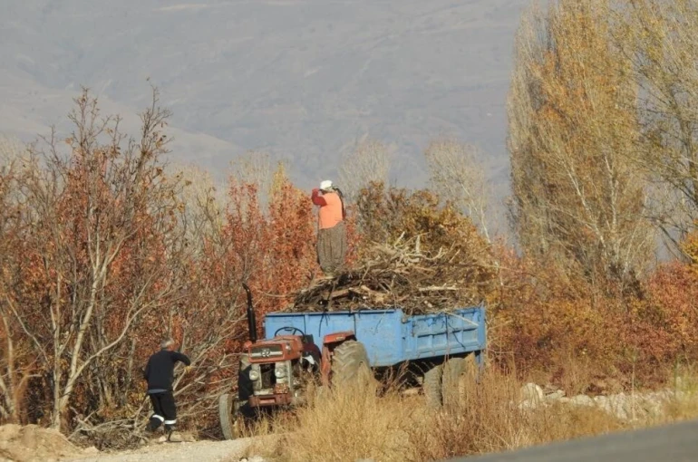 Köylerde kışlık odun hazırlığı