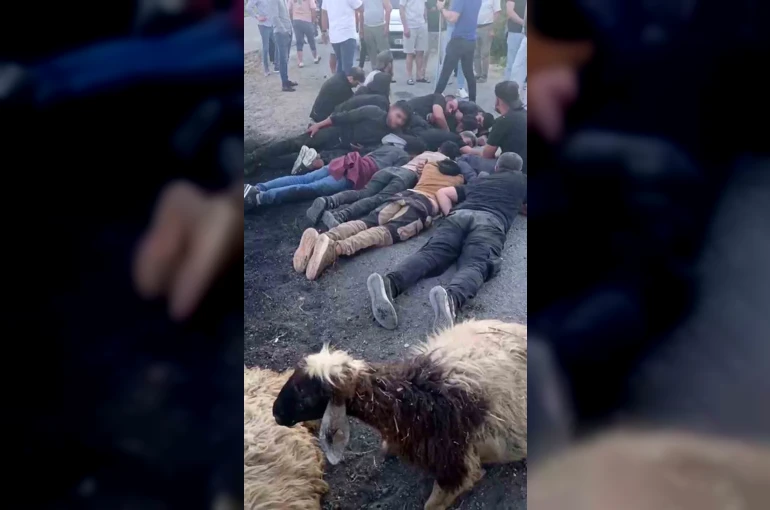 Koyun sürüsüne çarpan insan kaçakçısı, aracı ve göçmenleri bırakıp kaçtı