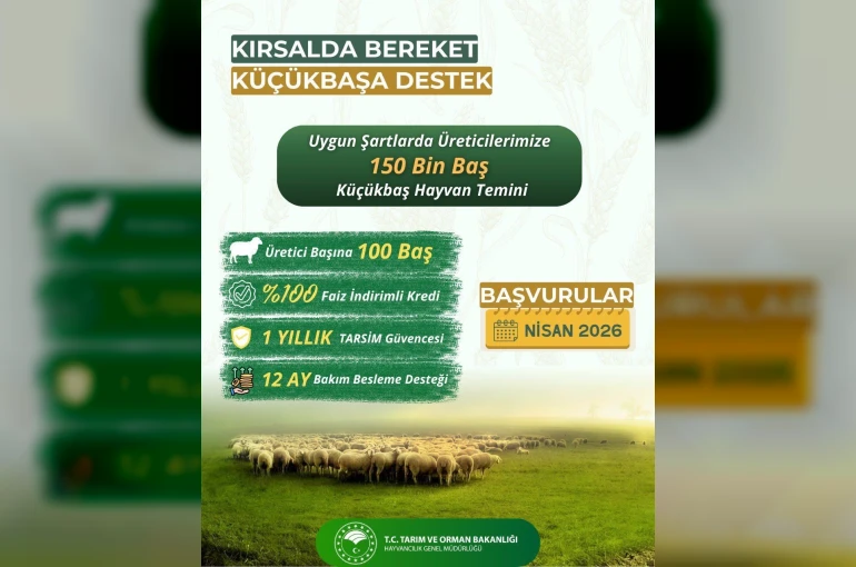 Küçükbaş üreticilerine "Kırsalda Bereket" projesi başlıyor