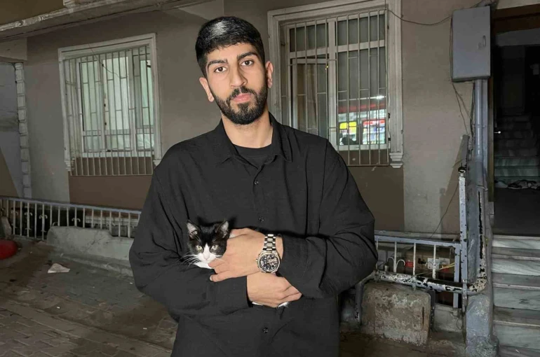 Küçükçekmece’de 7’inci kattan düşen kedi şemsiye ile kurtarıldı