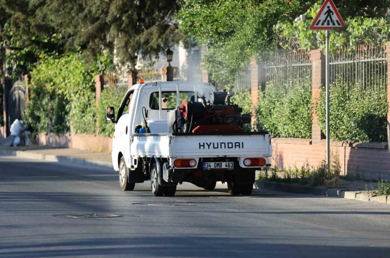 Küçükçekmece’de sivrisineklere karşı mücadele yoğunlaştı