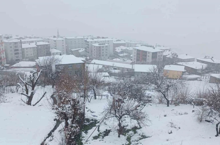 Kulp’ta kar yağışı etkili oldu, ilçe beyaza büründü 