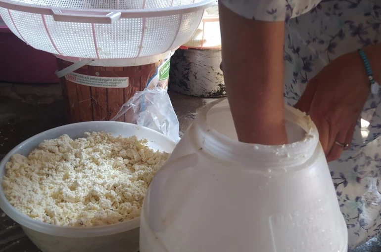 Kuma gömülerek olgunlaştırılan küp peyniri, asırlık lezzetini koruyor