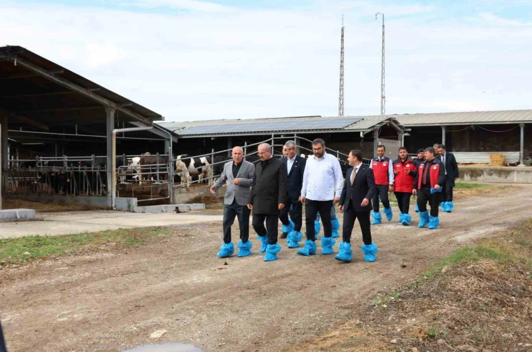 Kurban Bayramı öncesi hayvancılık işletmelerinde inceleme
