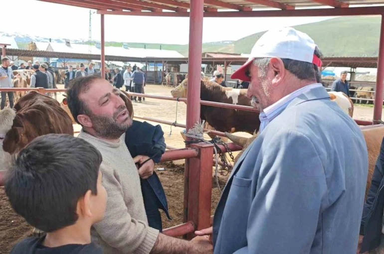 Kurban pazarlarında hareketlilik başladı