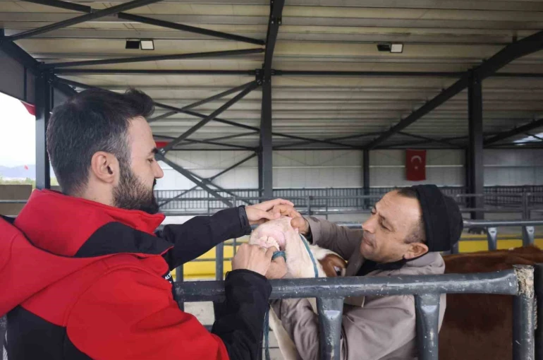 Kurbanlık denetimleri sürüyor