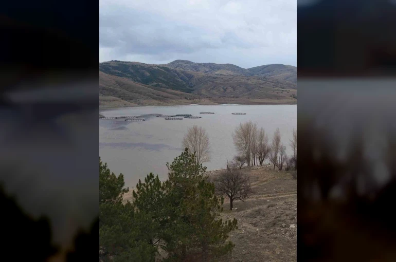Kurumaya yüz tutan barajda doluluk oranı yüzde 50 seviyelerine yaklaştı