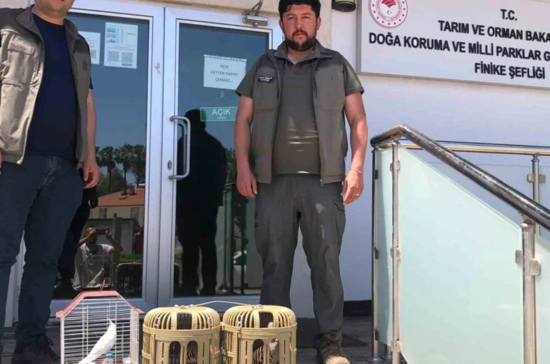 Kuş denetiminde kafeslerdeki keklik ve papağanlara el konuldu