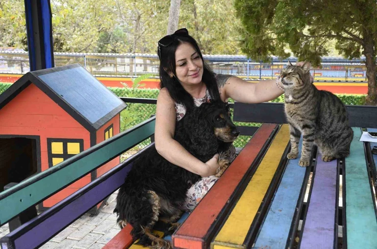 Kuşadası Belediyesi 3 bin 518 sokak hayvanını ömürlük yuvasına kavuşturdu