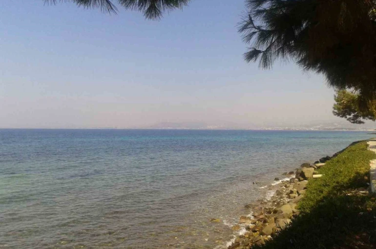 Kuşadası’nda deniz suyu kalitesi yüz güldürdü