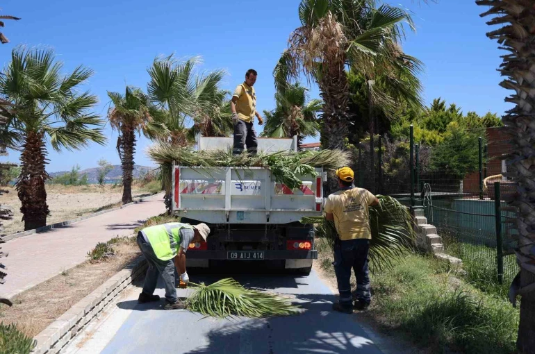 Kuşadası’nda yeşil alanlarda kapsamlı bakım ve düzenleme çalışması