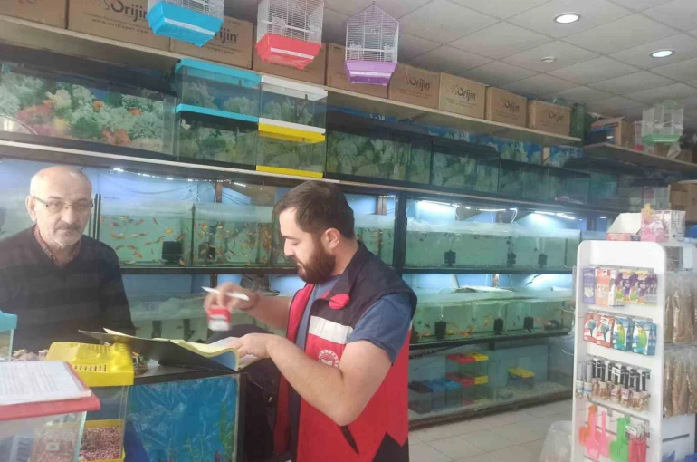 Kütahya’da ev hayvanı satış yerlerinde denetim 