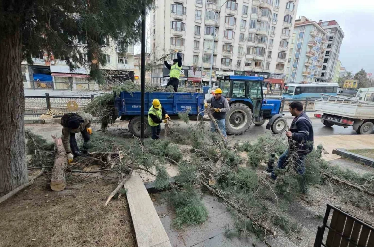 Kütahya’da fırtına ve aşırı rüzgâr ağaçları devirdi
