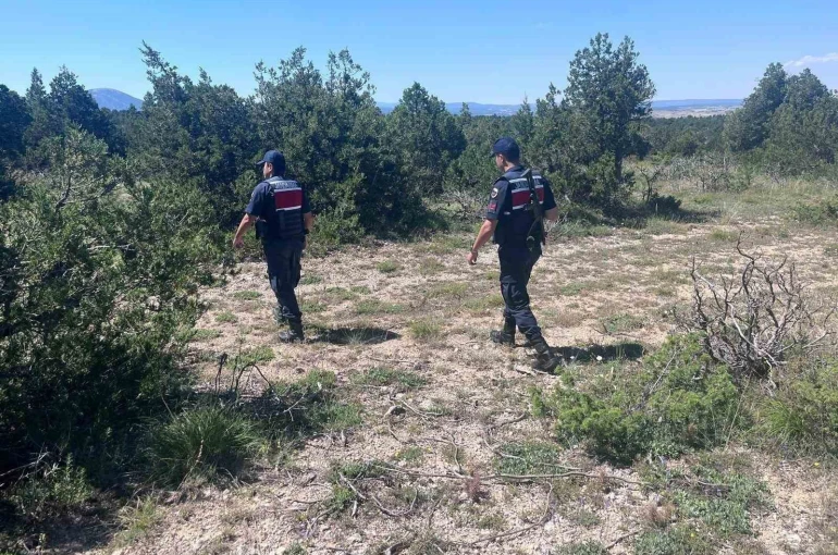 Kütahya’da orman yangınlarına karşı jandarma teyakkuza geçti