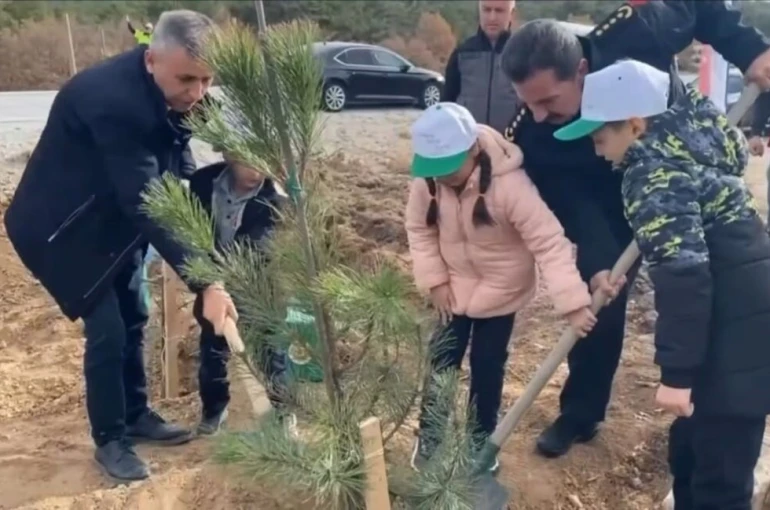 Kütahya’da şehitler anısına 400 fidan toprakla buluştu 
