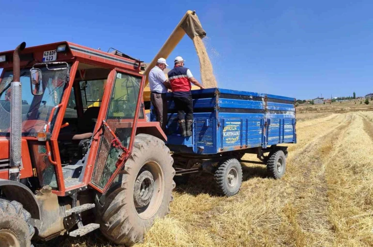 Kütahya’da yerli ve milli arpa çeşitlerinin hasadı yapıldı