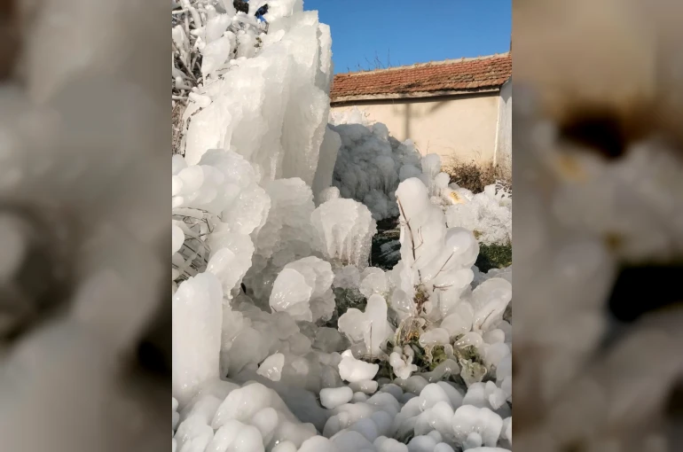 Kutuplar değil, Enez