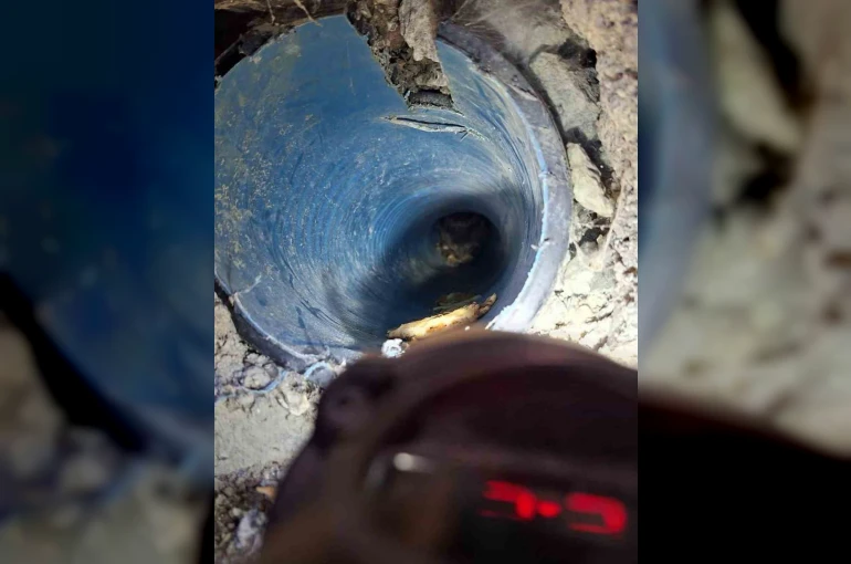 Kuyuya düşen yavru köpek kurtarıldı