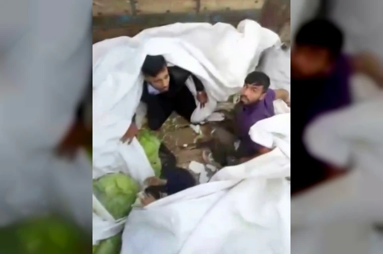 Lahana yüklü tırdan kaçak göçmenler çıktı