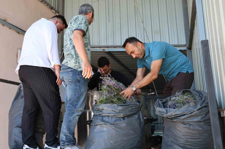Lavanta üreten kadın kooperatifine katma değer desteği
