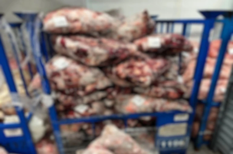 Lüleburgaz’da uygunsuz şartlarda saklanan 4 ton 600 kilo ete el konuldu