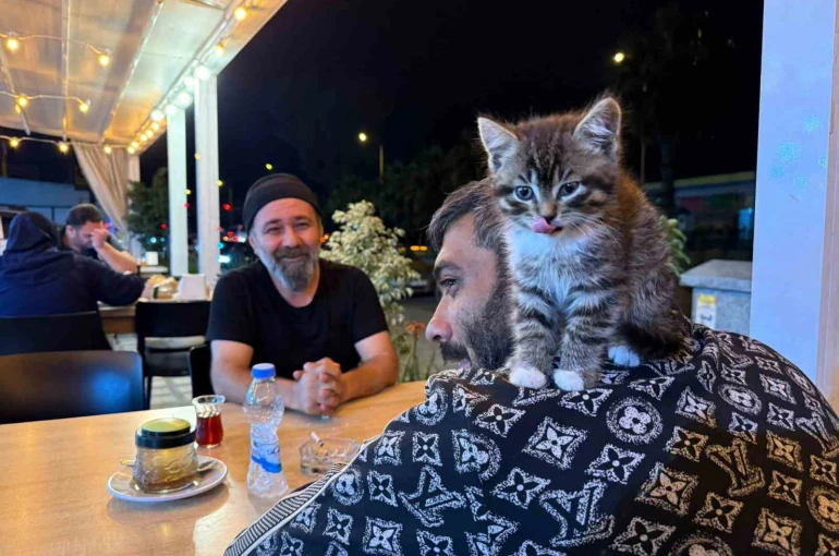Madde bağımlılığından yavru kedi sayesinde kurtuldu